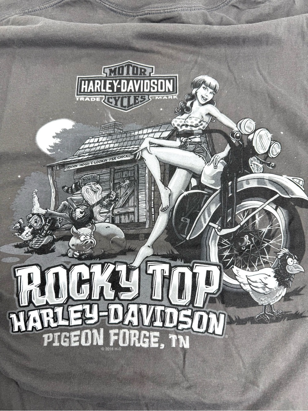 Harley-Davidson Tennessee Graphic Tee Gray Men's XL
